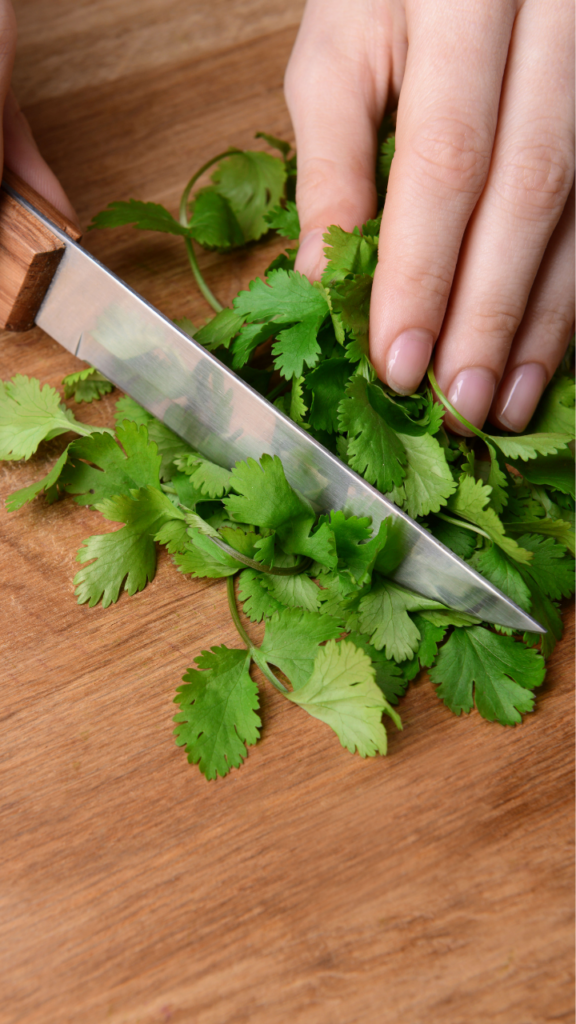 Chopping cilantro with a knife